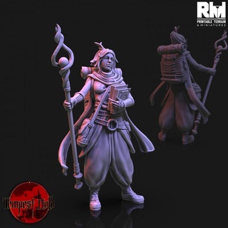 tempest hold mage apprentice rmprintable dungeons fantasy female gaming hero mini miniatures rpg warhammer wizard caster tabletop wargame d&d dnd pathfinder frostgrave ageofsigmar 5e warcry cursedcity tempesthold 3d print model - Mito3D
