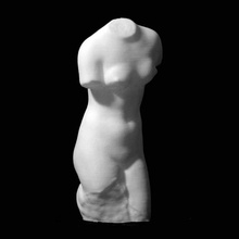 torse vénus salon coiffure institut birmingham numérisation l'époque romaine femme marbre nude l'italien 3d print model - Mito3D