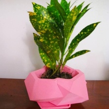 cristalline plante pot jardin 3d print model - Mito3D