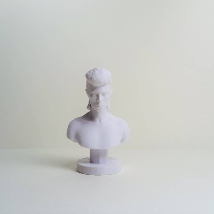 david bowie buste fan art visage tête stardust siggy 3D print model - Mito3D