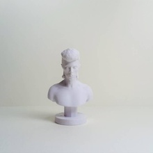 david bowie busto fan art cara cabeza stardust siggy 3d print model - Mito3D