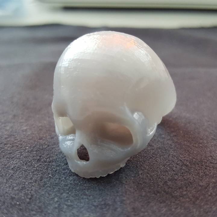 cranio anello ciondolo gioielli skullgothicringpendant 3D print model - Mito3D