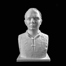 dragan muntean busto deva rumania scan 3d print model - Mito3D