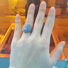 aslan yüzüğü mücevher yüzük 3dprintedring 3d print model - Mito3D