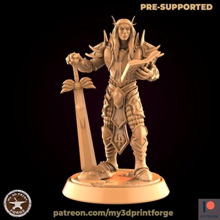 blood elf swordsman book my3dprintforge Tabletop Characters & Creatures Fantasy Universe Store fantasy knight model sword vampire warrior miniature resin warcraft wow tabletop elves dungeon paladin dnd pre-supported supported 3d print model - Mito3D