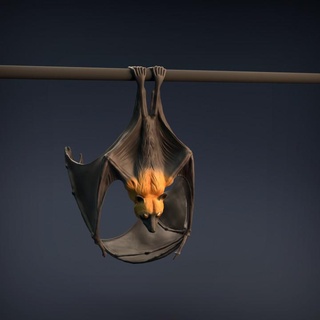 flying fox - fruit bat animal den miniatures Toys & Games Animal Creature Figures art creature fantasy figure realistic sculpture statue toy vampire wings companion miniature wildlife dnd woodland presupported supported 3d print model - Mito3D