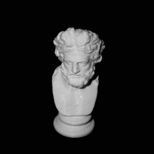 head asclepius hermitage museum st petersburg scan 3d print model - Mito3D