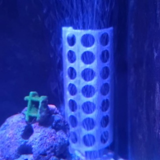 aquarium heater guard derpfish Home & Garden Pets fish salt fishtank reef aqua saltwater saltwateraquarium reeftank 3d print model - Mito3D