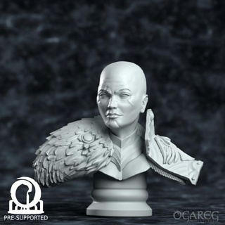 mudo donzela pré suportado ogro miniaturas loja ventilador arte bustos fantasia fêmea cavaleiro Guerreiro assustado 3d print model - Mito3D
