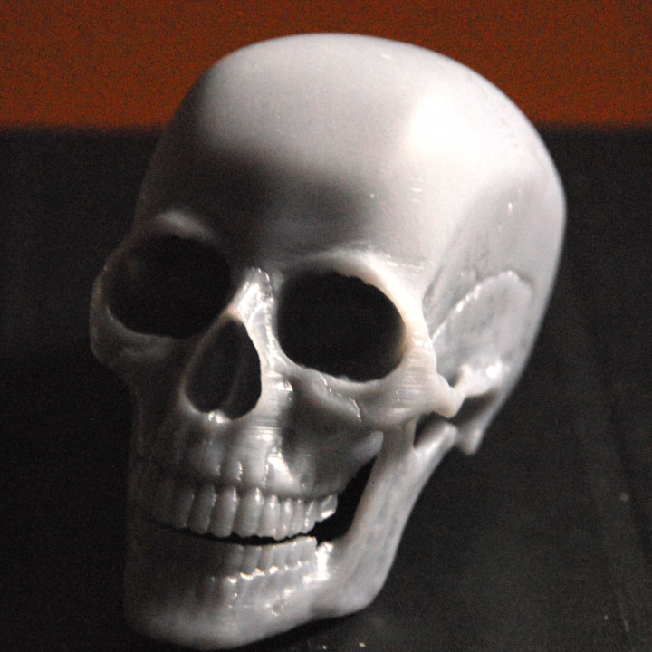 Humain crâne Brian chan Accueil maison jardin articles ménagers ornements squelette humain 3D print model - Mito3D