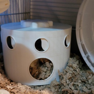 cerchio criceto Casa ted casa giardino animali domestici needglue 3d print model - Mito3D
