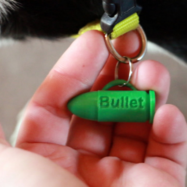 bullet dog tag bryson Jewellery animal pet dogtag puppies teg pupie 3D print model - Mito3D