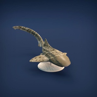 Zebra Hai Tier Miniaturen Spielzeuge Spiele Kreatur Zahlen Kunst Fantasie Zahl Fisch Ozean realistisch Skulptur Meer Statue Spielzeug Wasser Begleiter Miniatur Tierwelt Raubtier dnd vorausgesetzt unterstützt 3d print model - Mito3D