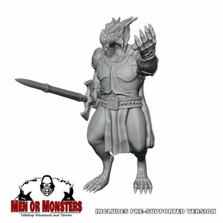 dragonborn fighter paladin dale seaton Tabletop Characters & Creatures Fantasy Universe Store dragons dungeons tabletop pathfinder 3d print model - Mito3D