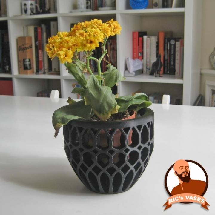 vase & garden flower holder pen cup ricvase 3D print model - Mito3D