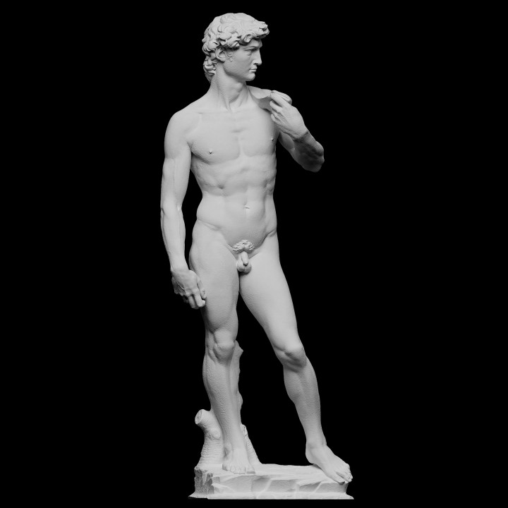 david tarama heykel mermer Rönesans michelangelo florence İtalya scantheworld Favoriler 3D print model - Mito3D