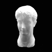lavinia agache bust deva romania scan 3d print model - Mito3D