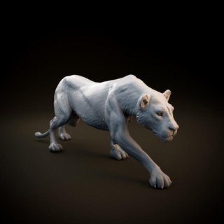 lioness sneaking - pre supported dino dog Toys & Games Animal Creature Figures Store printable africa animal cat female figure figurine lion realistic safari sculpture statue wild companion miniature african leon dnd presupported 3d print model - Mito3D
