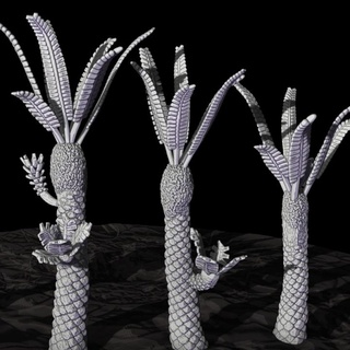 williamsonia preistorico giungla alberi whitaker tavolo 3D stampabile terreno fantasia natura pianta albero miniatura spargere pre historic 3d print model - Mito3D