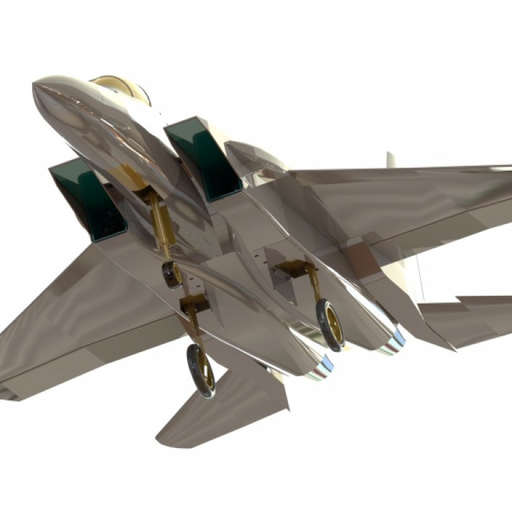 fighter f-15 alize 3D print model - Mito3D