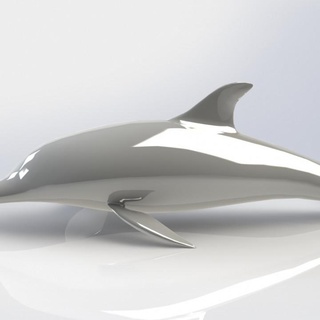 dolphin alize dolphin fish  3d print model - Mito3D