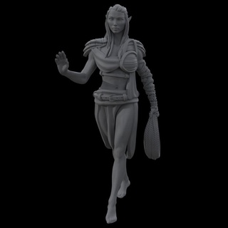 elf dragon tamer - average trading district kickstarter yourneighborknight minis Tabletop Characters & Creatures Fantasy Universe warrior ranger rope beastmaster 3d print model - Mito3D