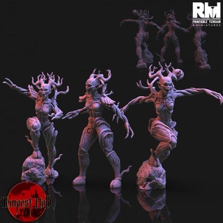 tempest hold dryads rmprintable dungeons fantasy gaming mini miniatures monster rpg warhammer tabletop wargame d&d dnd pathfinder frostgrave ageofsigmar 5e rm warcry 3d print model - Mito3D
