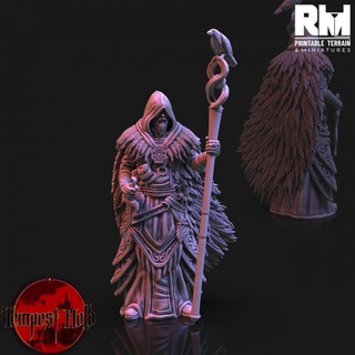 tempest hold raven mage rmprintable fantasy hero human miniature d&d dnd 5e 3d print model - Mito3D
