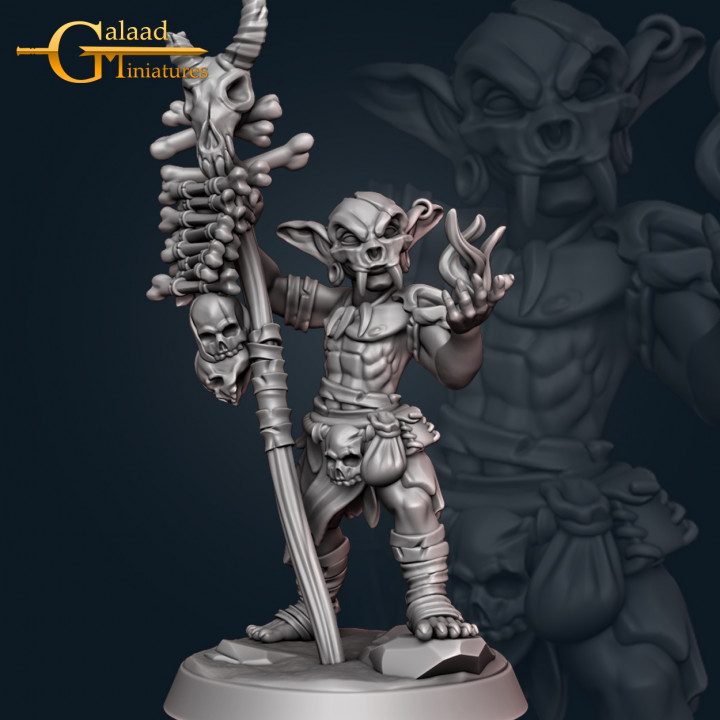 xamã goblin galaad miniaturas loja ossos Dragão fantasia mascarar encenação crânio tribal bruxo Magia masculino funcionários tampo mesa masmorra soletrar dnd totem feiticeiro Tribos 3D print model - Mito3D