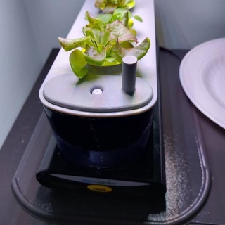 aerogarden sprout lid tristan bienstman Home & Garden Homeware Vases, pots and planters 3d print model - Mito3D