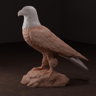 kel kartal James hibe oyuncaklar oyunlar hayvan yaratık rakamlar mağaza Amerika kuş heykel Birleşik Devletleri vahşi şahin yırtıcı Raptor tüyü 3d print model - Mito3D