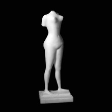 heroic torso scan 3d print model - Mito3D