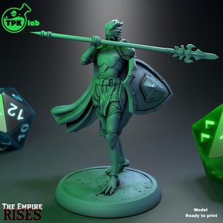thae dragonborn paladin tpk lab Store dragon dragons dungeons fighter miniatures rpg miniature tabletop dnd ttrpg draconic 3d print model - Mito3D
