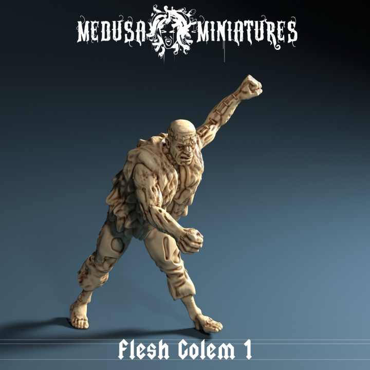 flesh golem 1 medusa miniatures Tabletop Characters & Creatures Fantasy Universe dragons dungeons game monster frankenstein pathfinder frostgrave ttrpg 3D print model - Mito3D