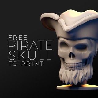 pirate crâne Diego Lopez Accueil maison jardin articles ménagers ornements os Jeu tête effrayant miniature jeton morte jeu 3d print model - Mito3D