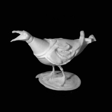herring gull london docklands scan 3d print model - Mito3D
