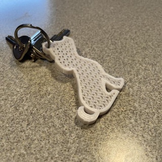 golden keychain mauro burlon Fashion & Accessories Keyrings retriever 3d print model - Mito3D