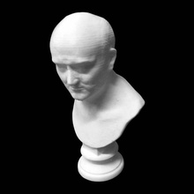 busto anziani romana museo dell'ermitage san pietroburgo scansione 3d print model - Mito3D