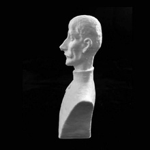 alexandru acerescu alba iulia romania scan 3d print model - Mito3D