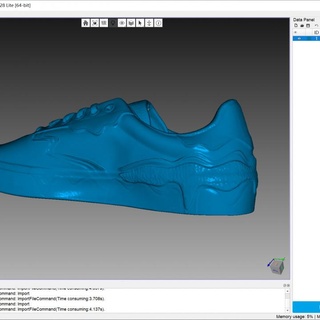 shoes scanned cr-scan lizard creality Home & Garden Homeware Ornaments 3d print model - Mito3D