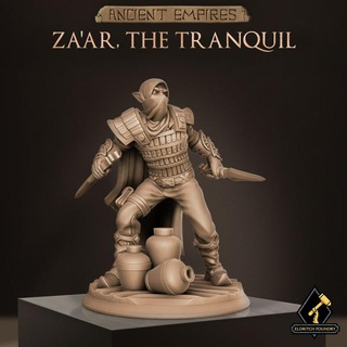 zaar tranquil eldritch foundry Store ancient elf fantasy assassin d&d rogue dnd 3d print model - Mito3D