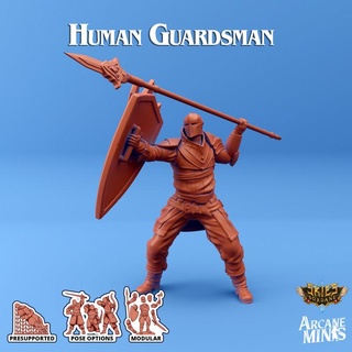 human guardsman - arrodan syndicate arcane minis Store armour dragon dragons dungeons elf gun guns helmet old roleplay rpg shield spear magic blades steampunk staff dragonborn rifle swords dungeon d&d dnd sharp guards expansion 5e eberron crew presupported pre-supported arcanapunk magipunk magitech sordane supported zap skies 3d print model - Mito3D