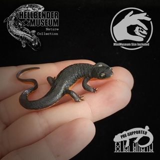 rough-skinned newt taricha granulosa hellbender museum Toys & Games Animal Creature Figures Store forest lizard nature witch natural frog toad pond lake rough witchcraft salamander skinned ambhibian 3d print model - Mito3D