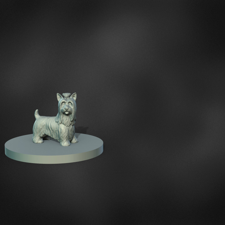 Yorkshire Terrier Zimt 32mm Sprossen 3d Miniaturen Spielzeuge Spiele Tier Kreatur Zahlen Geschäft Hund Hunde Zombizide 3D print model - Mito3D