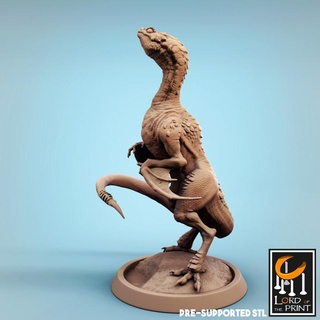 vouivre baby curious lord print Tabletop Characters & Creatures Fantasy Universe Store dinosaur dragon wyvern 3d print model - Mito3D