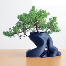 escritorio maceta bonsai jardín planta olla beautifulhome 3d print model - Mito3D