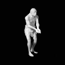 homo heidelbergensis model lincoln koleksiyonu united kingdom tarama 3d print model - Mito3D