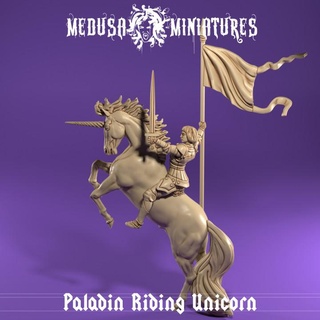 paladin princess riding unicorn medusa miniatures Tabletop Characters & Creatures Fantasy Universe dragons dungeons fighter knight player warrior character horse tabletop 28mm adventurer pathfinder 3d print model - Mito3D