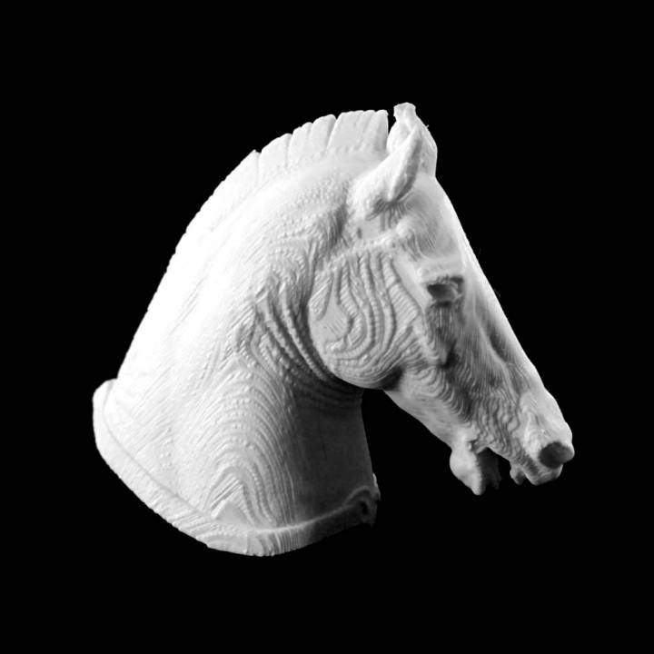 medici riccardi horse museo archeologico nazionale florence scan 3D print model - Mito3D