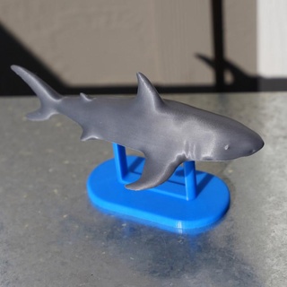 shark philippe barreaud Toys & Games Animal Creature Figures Store ocean greatwhiteshark 3d print model - Mito3D